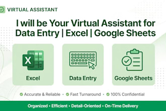 be your virtual assistant for data entry