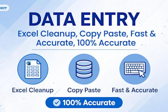 do accurate data entry, excel data clean up and copy paste work fast