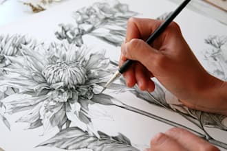 draw botanical illustration of flower illustration, plant illustration