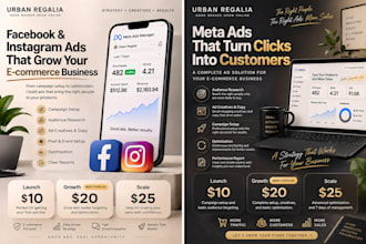set up facebook and instagram ads for you