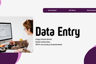 do professional data entry copy paste and ms office work