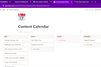 organize and schedule your social media content for 2 weeks