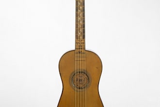 record authentic baroque theorbo, lute, baroque guitar and any strings