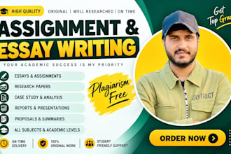 provide expert academic writer services