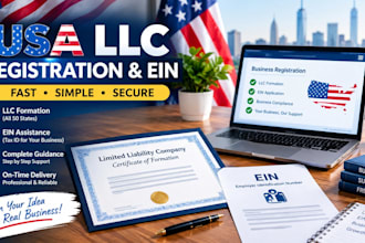 assist with USA llc registration and business setup