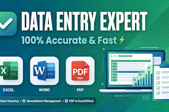 do fast data entry typing excel work and pdf to word conversion