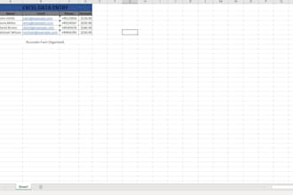 provide accurate excel data entry word formatting and PDF conversation