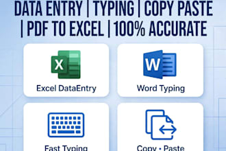 do fast data entry taping copy paste and excel work