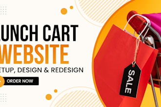build a professional lunch cart website, design lunch cart website, store seo