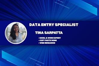 do professional data entry, copy paste, and virtual assistant tasks