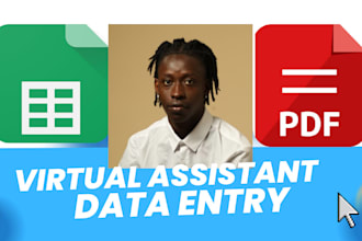 data entry and web research