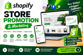 shopify promotion campaigns, ecommerce marketing, store traffic and sales growth