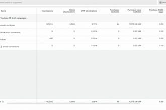 help you promote your website through targeted paid advertising campaigns