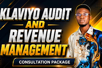 do klaviyo audit and revenue management for ecommerce
