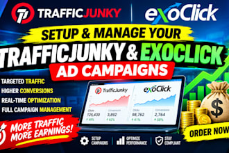 setup and manage your traffic junky and exoclick ad campaigns
