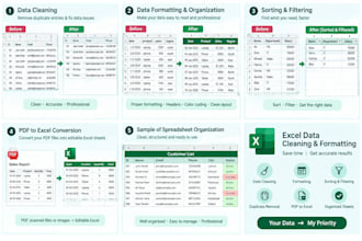clean, organize and format your excel data