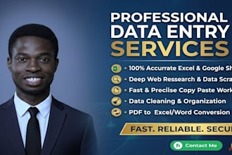 handle excel data entry data cleaning and formatting