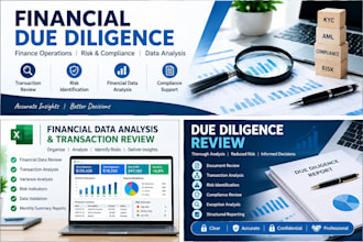 provide financial operations, audit and risk review services