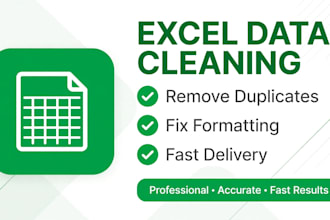 clean excel data, remove duplicates, fix formatting and data cleaning in 1 day