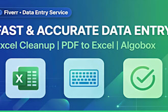 do fast entry, excel cleanup, and algobox algorithm