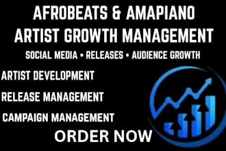 create a music release campaign and marketing strategy
