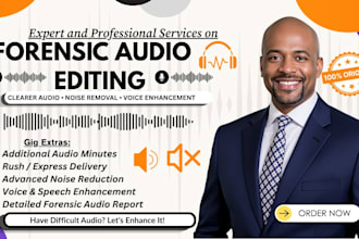 provide forensic voice analysis and audio cleanup for legal, investigative use