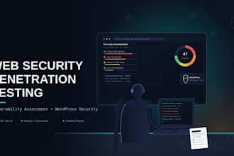 do web security penetration testing and wordpress security audit