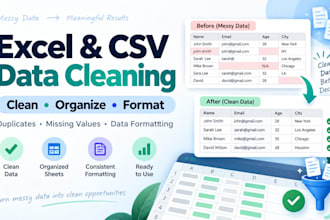 clean organize and format your excel or CSV data