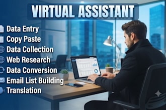 provide comprehensive data entry, web research, data conversion, and tran