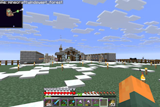 play minecraft with you, survive and build togheter