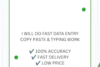 do fast data entry, copy paste, excel, typing work professionally only for 5