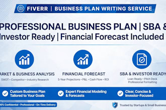 write professional business plan for investors and bank loan