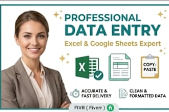 do professional data entry excel and copy paste work
