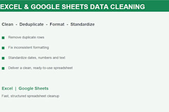 clean and organize excel or google sheets data