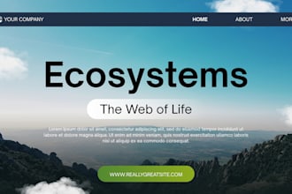 professional HTML, CSS and javascript website development