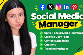 be your social media manager