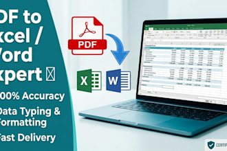 do perfect PDF to excel and PDF to word data entry work