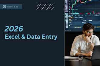 do professional financial data entry and excel bookkeeping