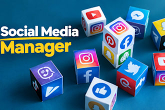 manage afrobeats amapiano social media, releases and artist growth