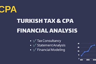 cpa for turkish tax consultancy and financial statement analysis