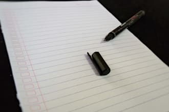 write an essay on any topic