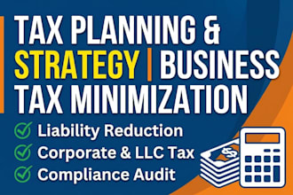 provide tax planning and tax strategy for businesses