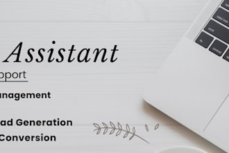 be your vitual assistant for excel data entry and canva