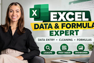 expertly handle excel data entry, cleaning, formulas and lookups