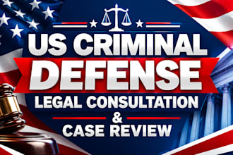 provide expert US criminal defense legal consultation and case review