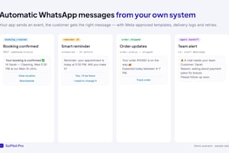 whatsapp business API setup and meta verification