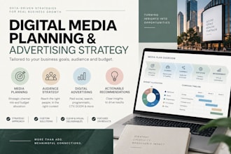create a professional digital media plan and advertising strategy