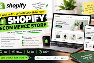 audit, optimize and grow your shopify ecommerce store