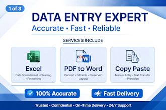 do accurate data entry, excel work and pdf to word conversion