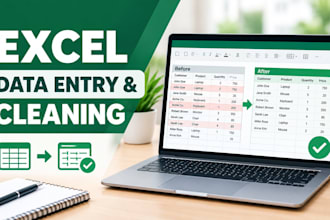 do ms excel data entry, data cleaning and data management